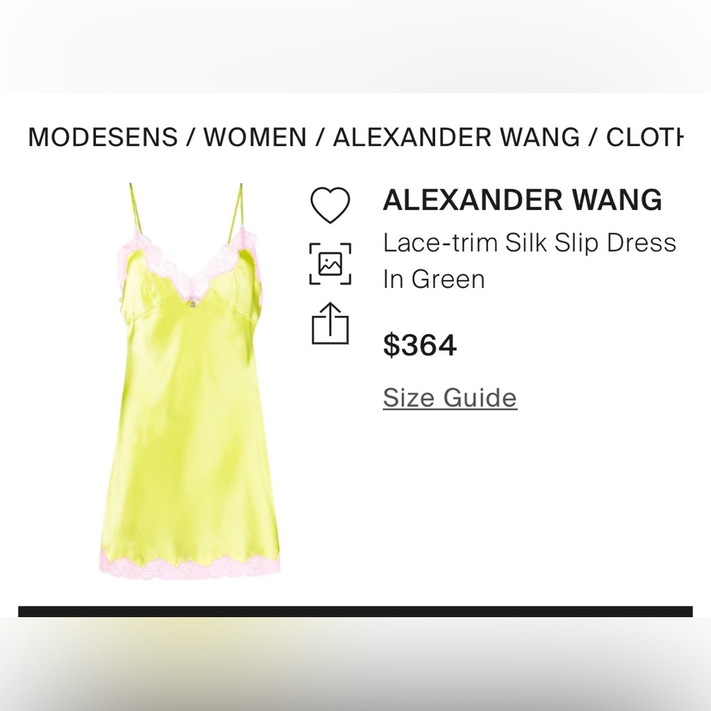 Beautiful Alexander Wang slip dress.